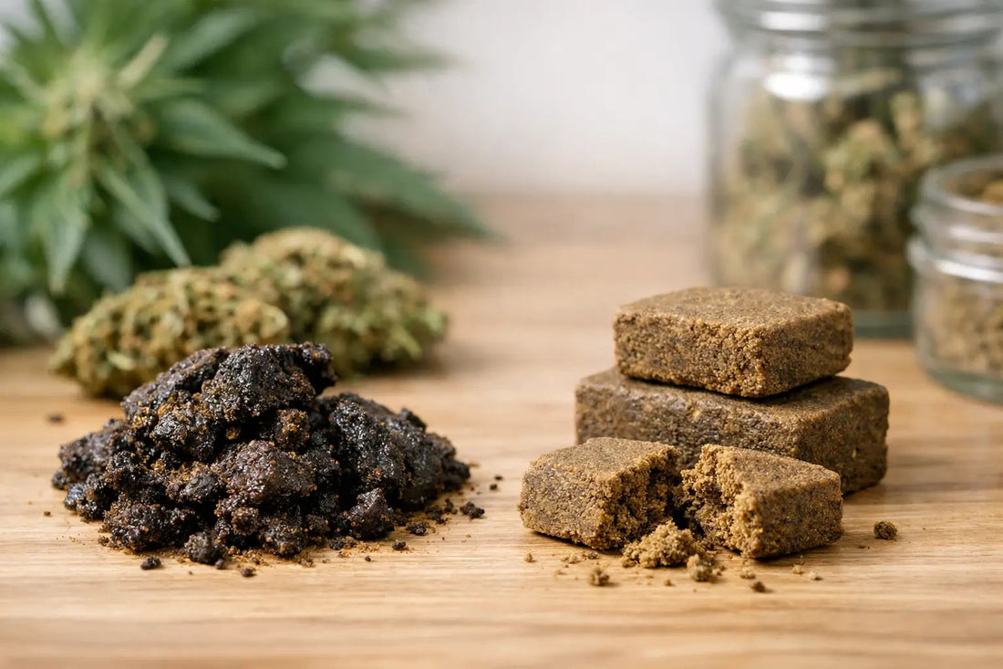 Hash CBD texture grasse ou sèche ?
