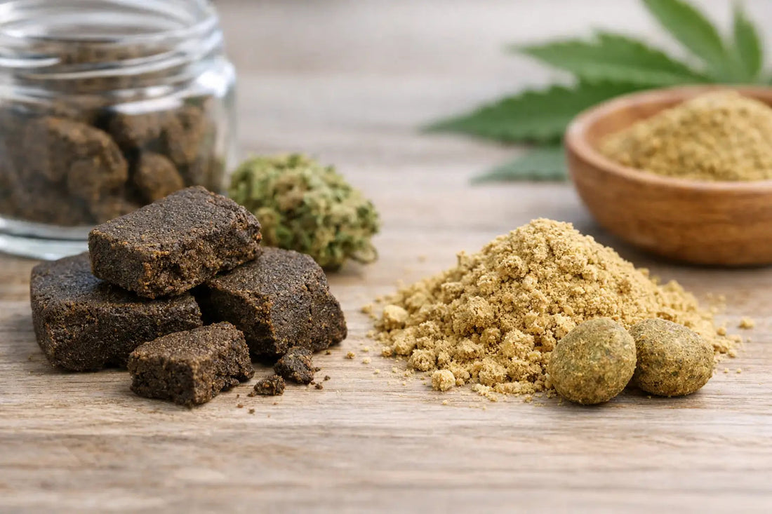 Hash CBD vs pollen : quelles vraies différences ?