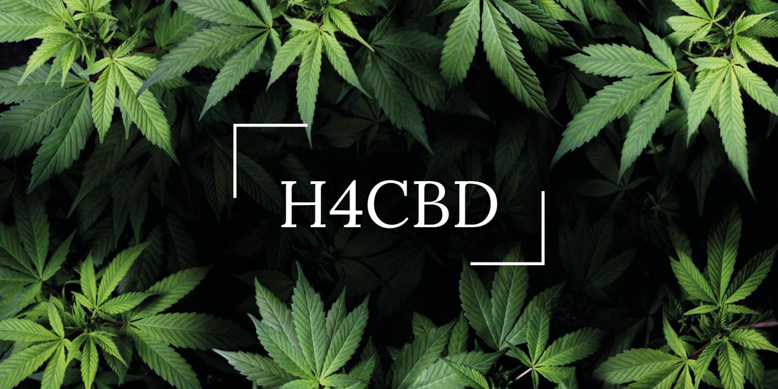 Les molécules THCP+ et H4CBD bientôt interdites ?