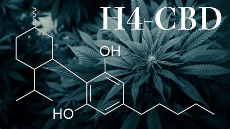 4H-CBD, qu'est-ce que c'est ?