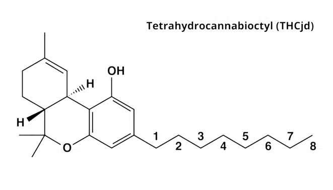 Qu'est ce que THC-JD ?