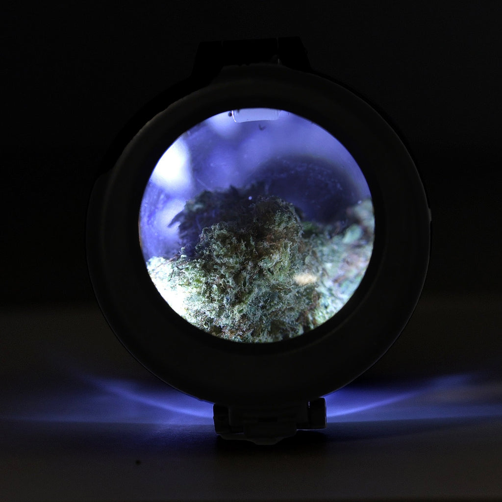 Glow Jar