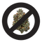 [00036945] Sans Echantillon 🥲