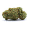 Great White Shark — DELTA 10 50 %
