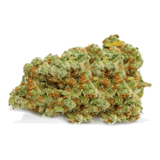 Mimosa — 10-OH+ 30 %